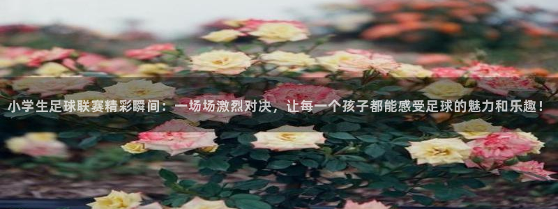 小学生足球联赛精彩瞬间：一场场激烈对决，让每一个孩子都能感受