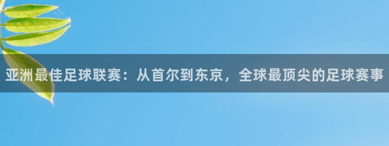  亚洲最佳足球联赛：从首尔到东京，全球最顶尖的足球赛事