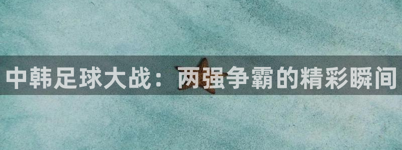 中韩足球大战：两强争霸的精彩瞬间