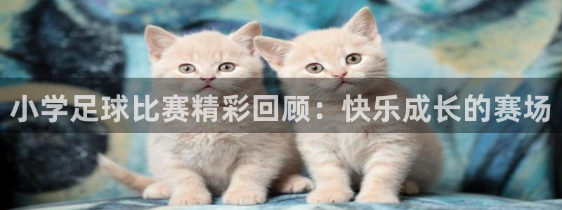  小学足球比赛精彩回顾：快乐成长的赛场
