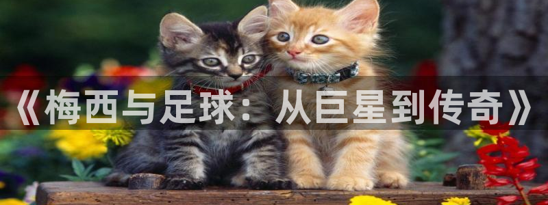  《梅西与足球：从巨星到传奇》