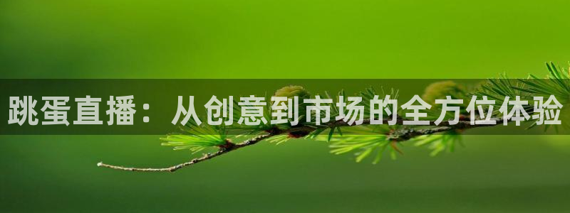 广西小九今天视频播放：跳蛋直播：从创意到市场的全方位体验