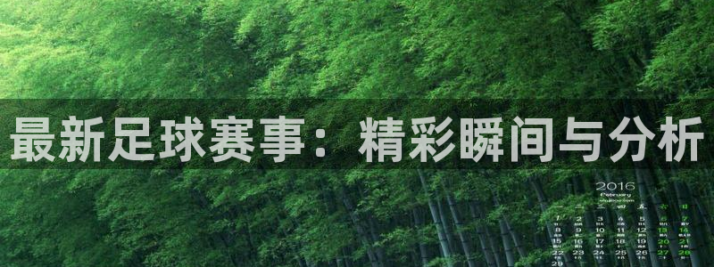 最新足球赛事：精彩瞬间与分析