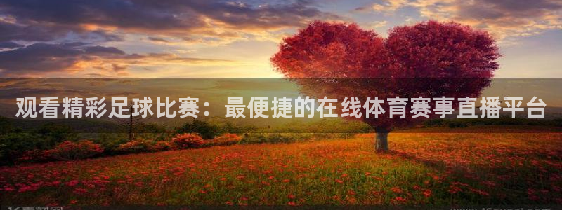 观看精彩足球比赛：最便捷的在线体育赛