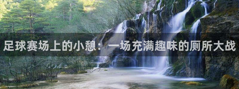 足球赛场上的小憩：一场充满趣味的厕所大战