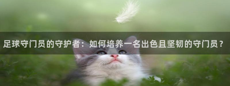  足球守门员的守护者：如何培养一名出色且坚韧的守门员？