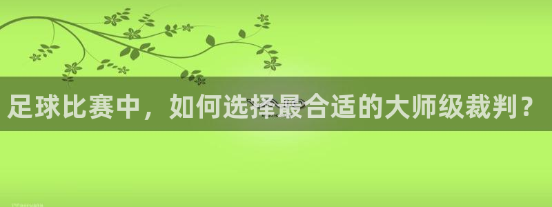 足球比赛中，如何选择最合适的大师级裁判？
