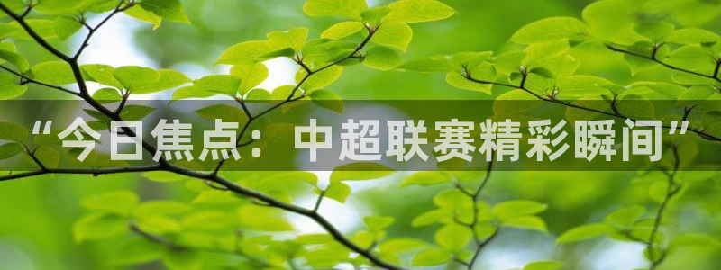 “今日焦点：中超联赛精彩瞬间”
