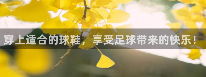 穿上适合的球鞋，享受足球带来的快乐！