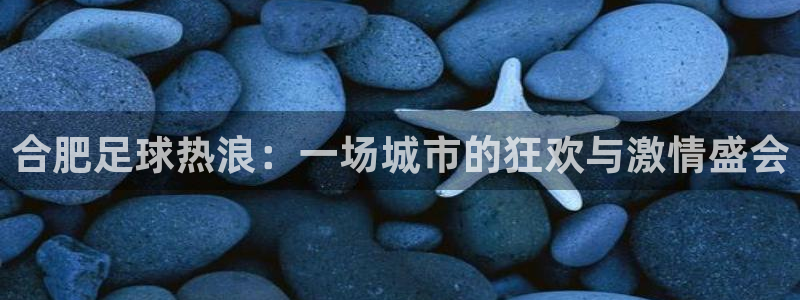 合肥足球热浪：一场城市的狂欢与激情盛会
