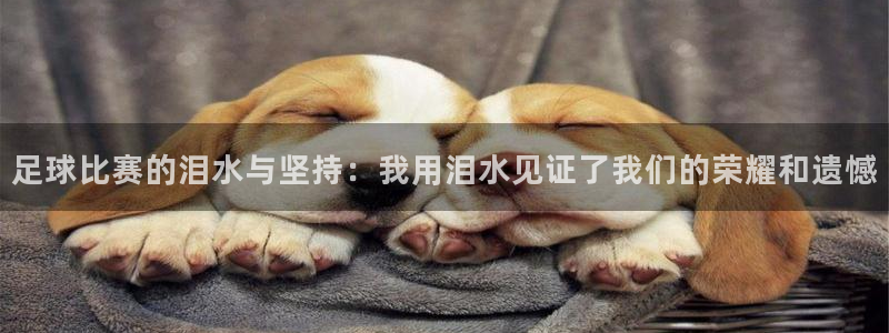 足球比赛的泪水与坚持：我用泪水见证了
