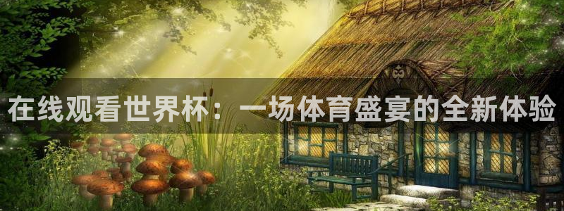 在线观看世界杯：一场体育盛宴的全新体验