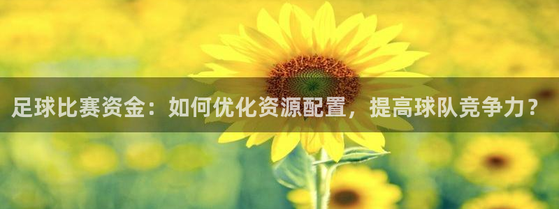  足球比赛资金：如何优化资源配置，提高球队竞争力？