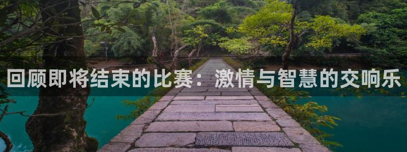 回顾即将结束的比赛：激情与智慧的交响