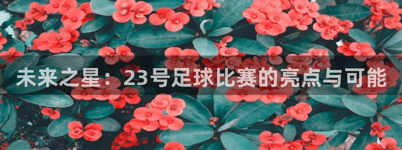  未来之星：23号足球比赛的亮点与可能