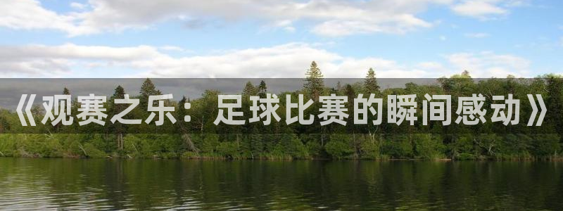 《观赛之乐：足球比赛的瞬间感动》