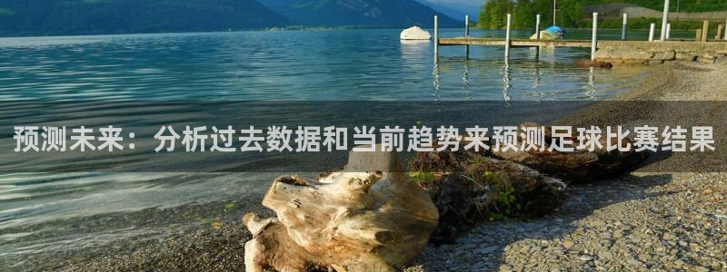 预测未来：分析过去数据和当前趋势来预测足球比赛结果