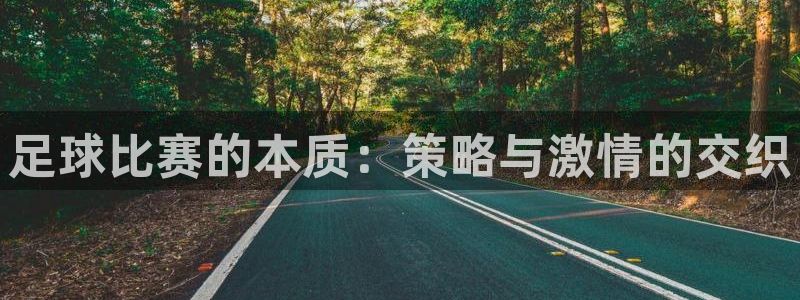 足球比赛的本质：策略与激情的交织