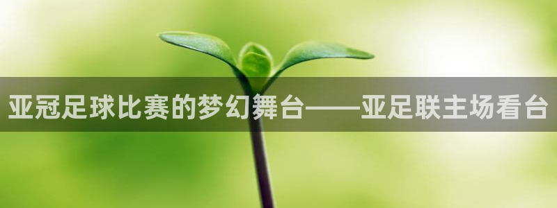 亚冠足球比赛的梦幻舞台——亚足联主场