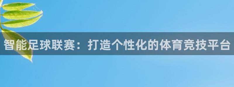 智能足球联赛：打造个性化的体育竞技平