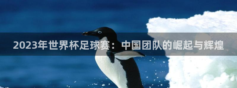 2023年世界杯足球赛：中国团队的崛