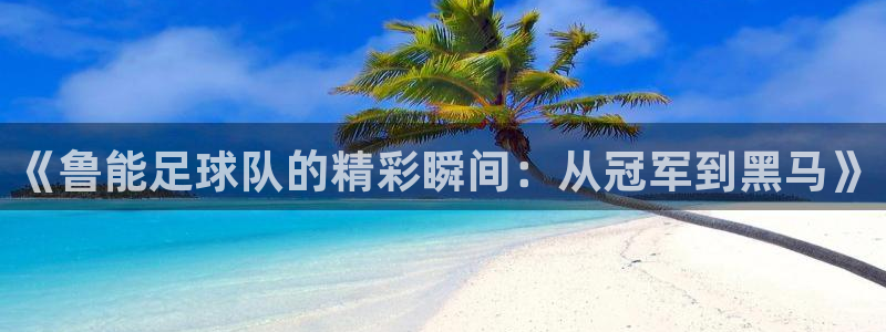 《鲁能足球队的精彩瞬间：从冠军到黑马