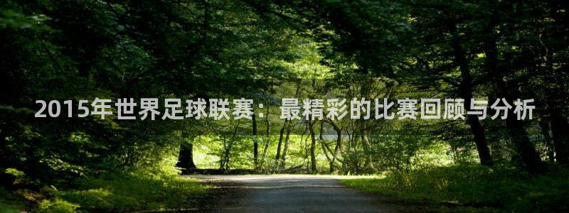 2015年世界足球联赛：最精彩的比赛