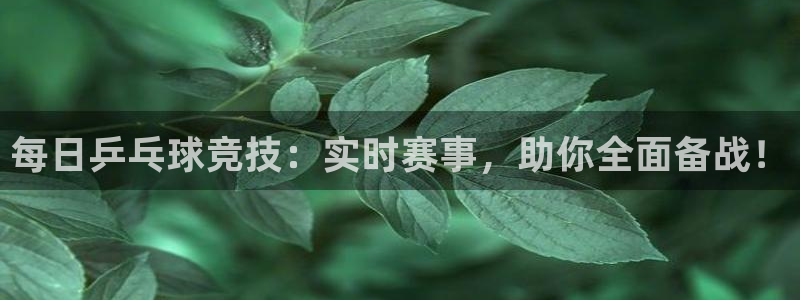 英超直播小九直播：每日乒乓球竞技：实时赛事，助你全面备战！