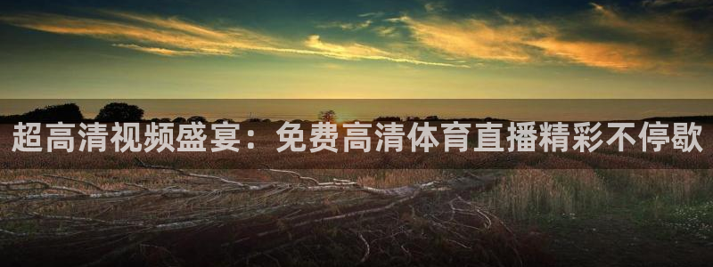 英超直播小九：超高清视频盛宴：免费高清体育直播精彩不停歇