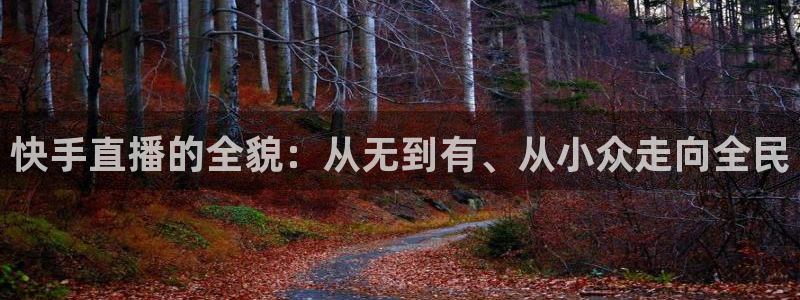 小九体育直播足球：快手直播的全貌：从无到有、从小众走向全民