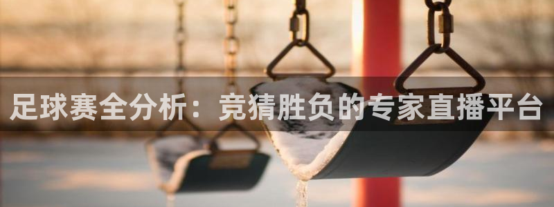 小九的视频：足球赛全分析：竞猜胜负的专家直播平台