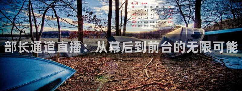 小九直播免费观看：部长通道直播：从幕后到前台的无限可能