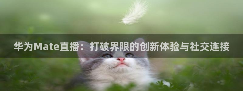 小九体育直播免费观看：华为Mate直播：打破界限的创新体验与社交连接