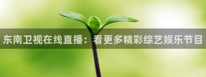 小九足球免费直播高清观看：东南卫视在线直播：看更多精彩综艺娱乐节目
